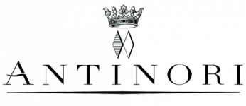 Antinori-Logo_png.png